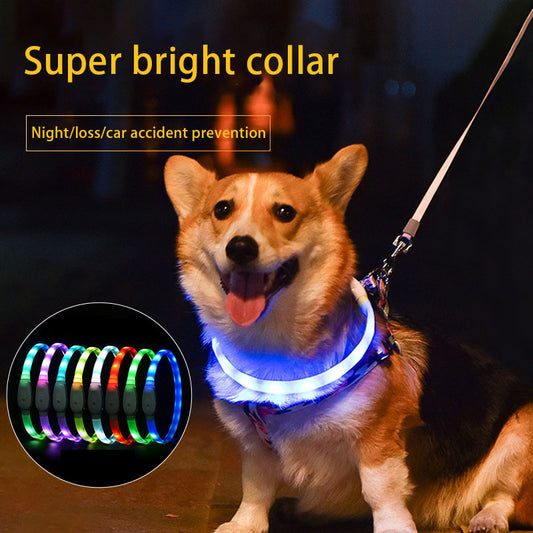 USB Rechargeable LED Dog Collar – Luminous Safety Neck Belt