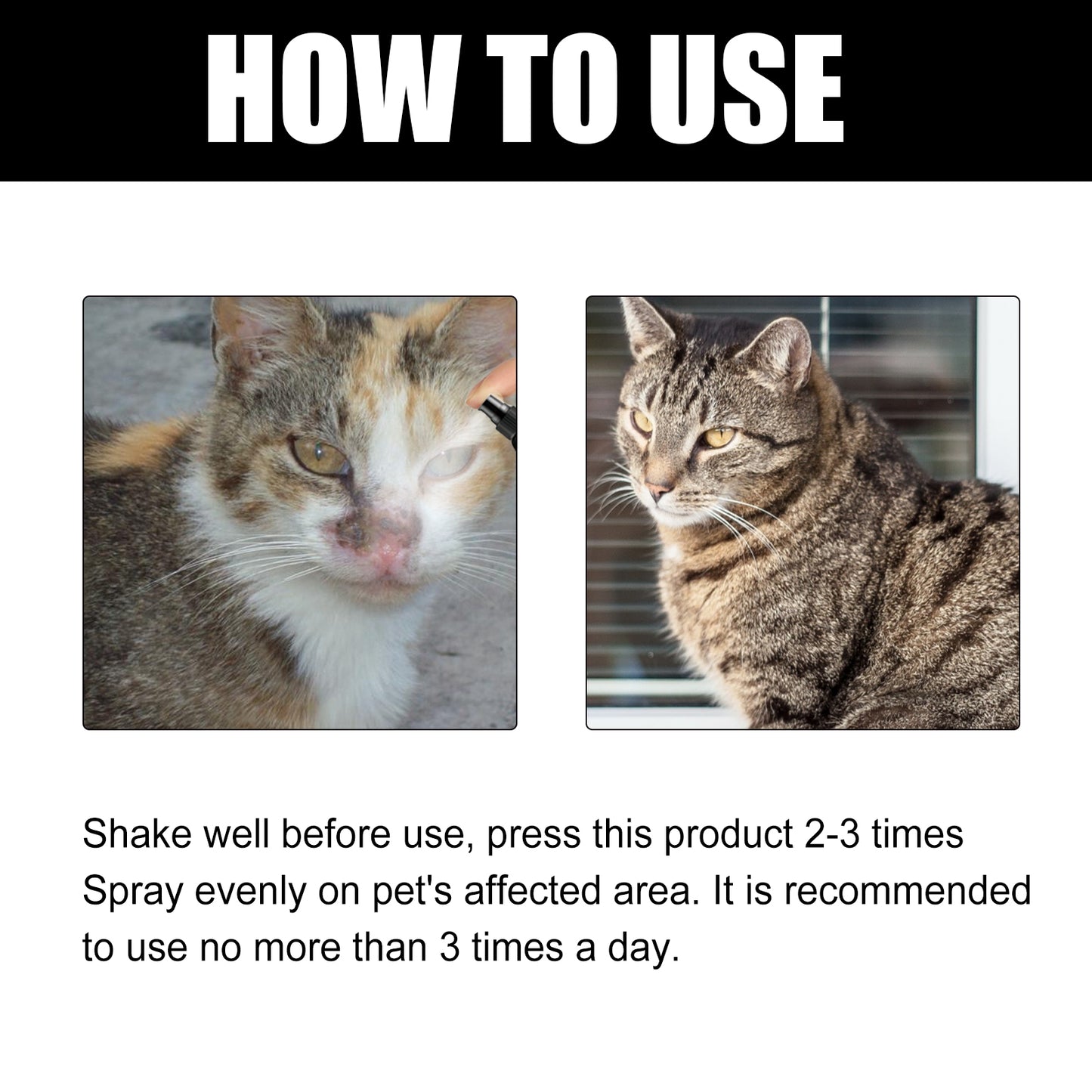 Cat Ringworm Spray – Anti-Mite & Anti-Itch Skin Treatment for Cats