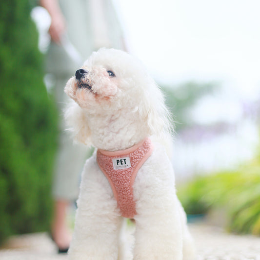 Breathable Dog Harness & Leash Set – Vest-Type Rope for Small & Medium Pets