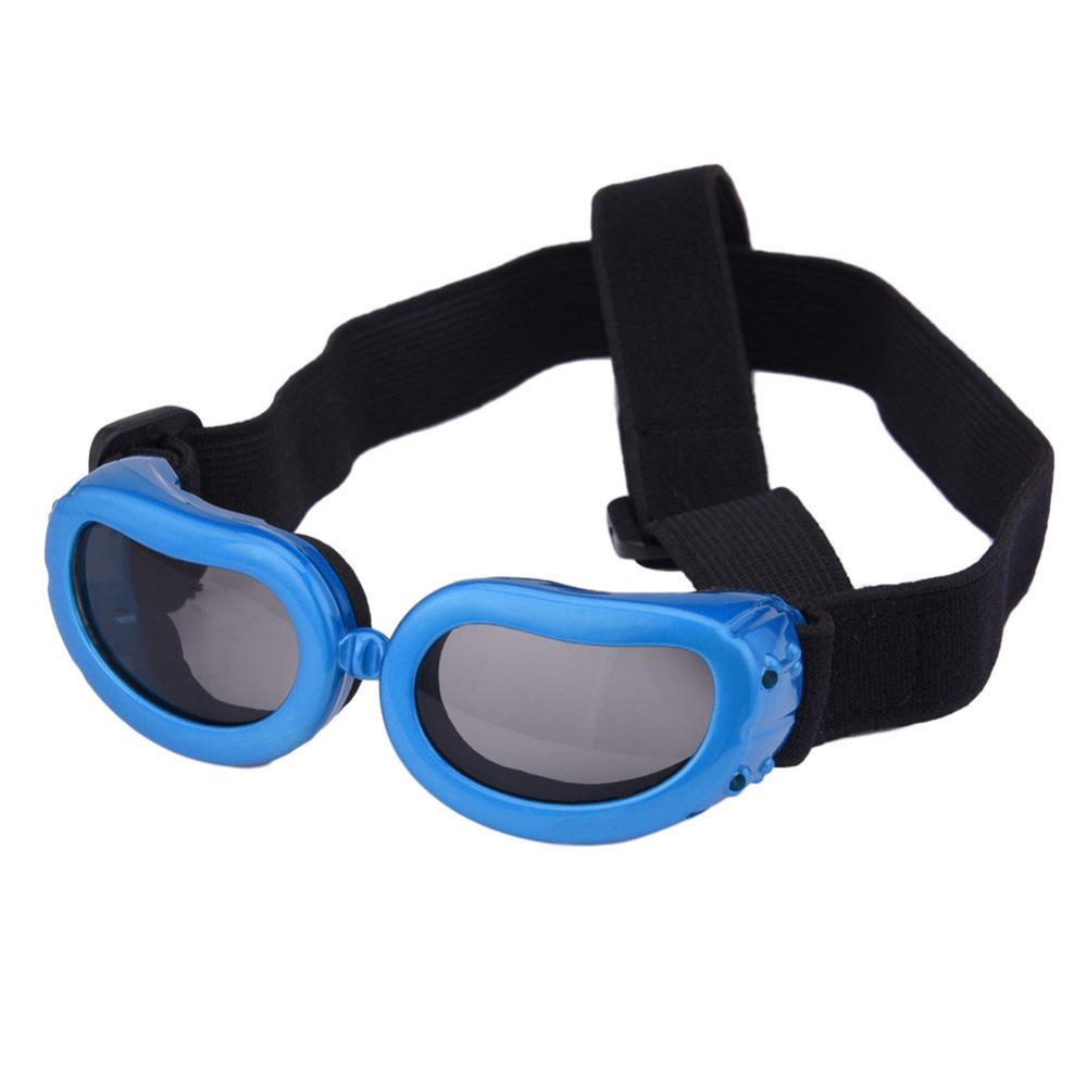 Pet Sunglasses – UV Eye Protection for Dogs & Cats