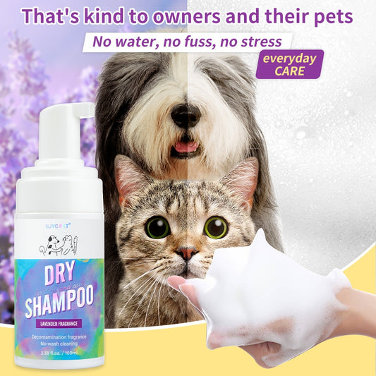 Cat Dry Shampoo Foam – No-Rinse Deodorizing Bubbles for Easy Cleaning