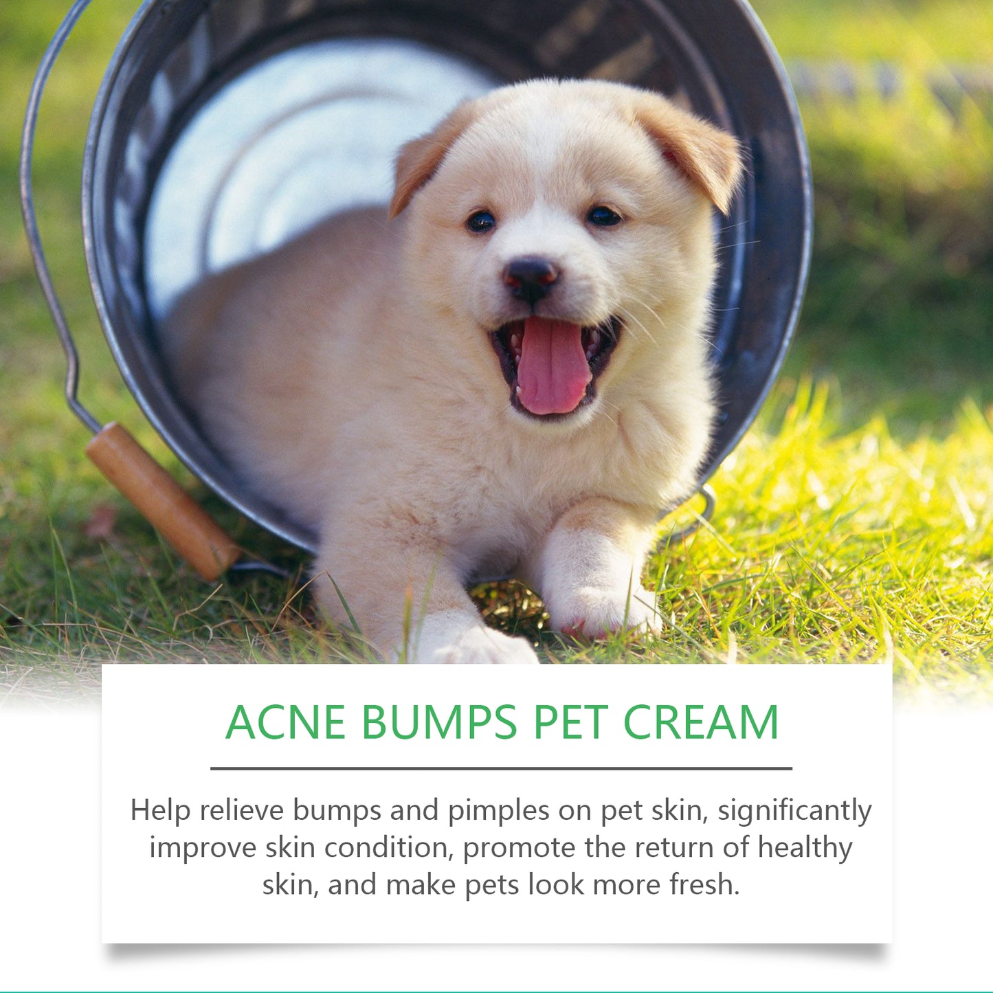 Yegbong Pet Care Cream, Gentle Formula To Care For Pet Skin And Hair Healthy Pet Skin Care Cream