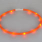 Collier lumineux de sécurité pour chien avec LED rechargeable par USB