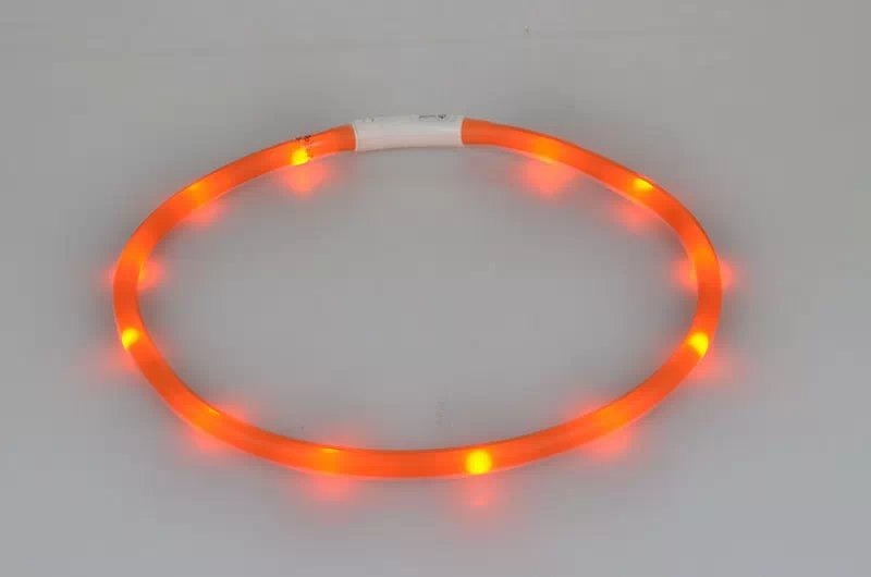 Collier lumineux de sécurité pour chien avec LED rechargeable par USB