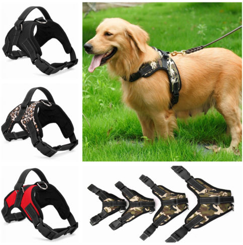 Nylon K9 Dog Harness & Collar Set – Durable Pet Gear for All Sizes