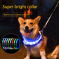 Collier lumineux de sécurité pour chien avec LED rechargeable par USB
