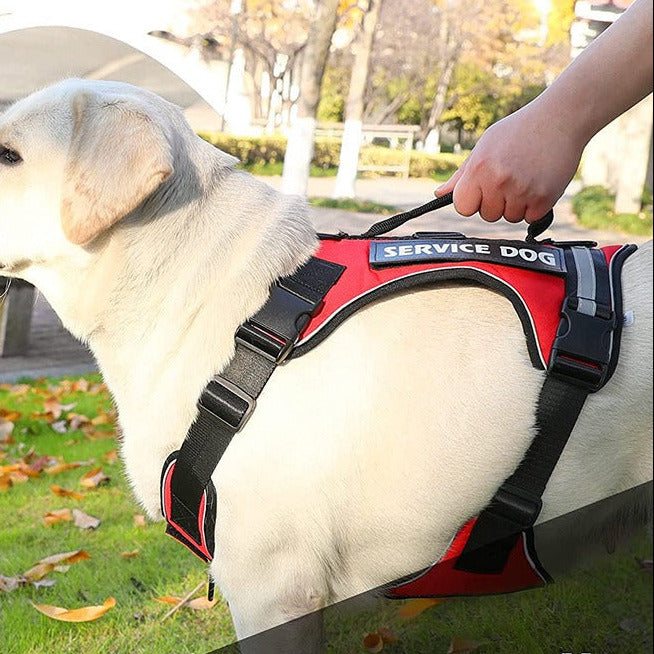 New Pet Traction Dog Explosion-Proof Punch Chest Strap Undershirt Type Reflective Pet Chest Strap