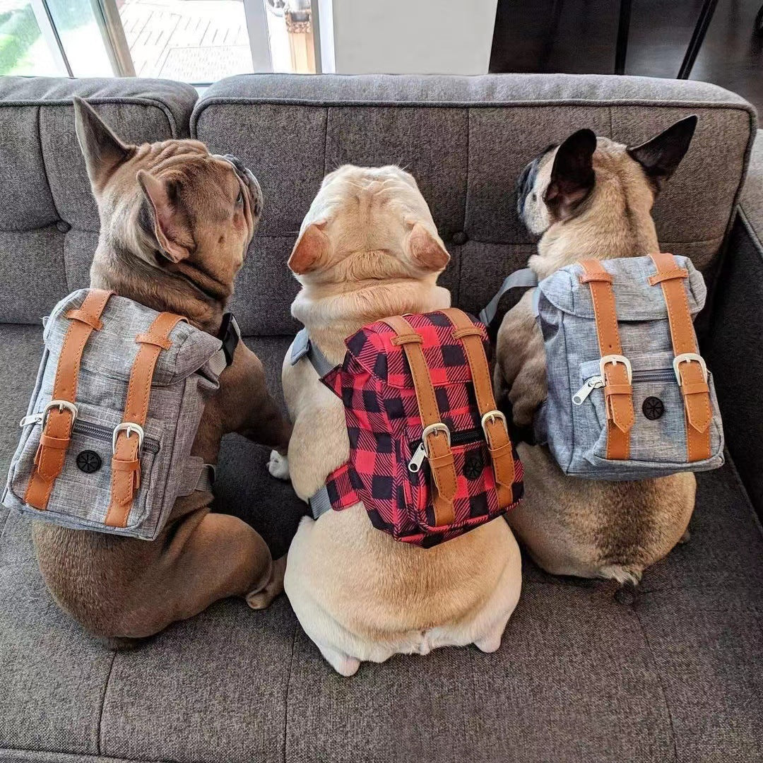 Mochila para Animais de Estimação com Alças Ajustáveis para Cães e Gatos Pequenos