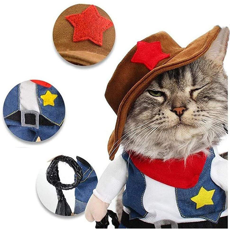Déguisement amusant pour animaux de compagnie : costume de cowboy pour chat, idéal pour Halloween ou Noël. 