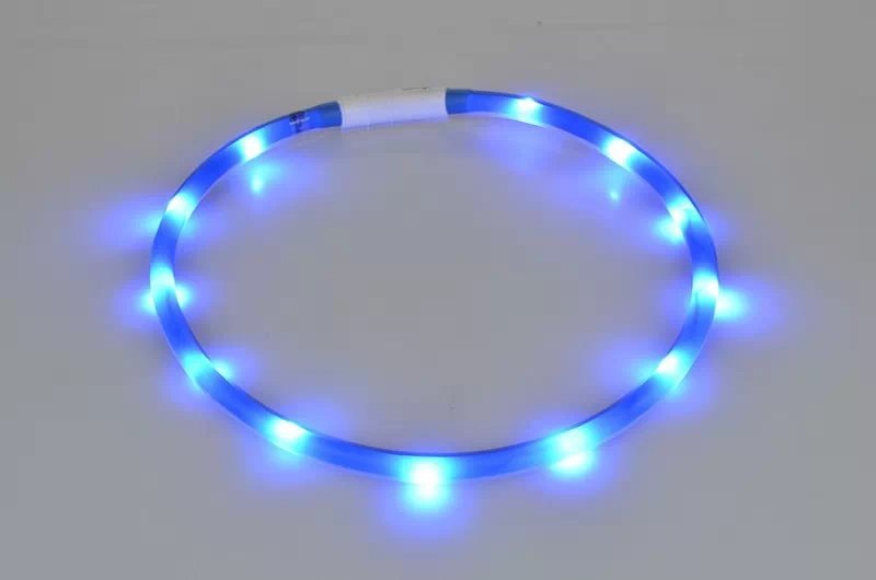 Collier lumineux de sécurité pour chien avec LED rechargeable par USB