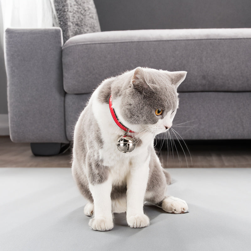 Campainhas de Liga, com Padrão de Osso e de Pata, para Coleiras de Cão e de Gato