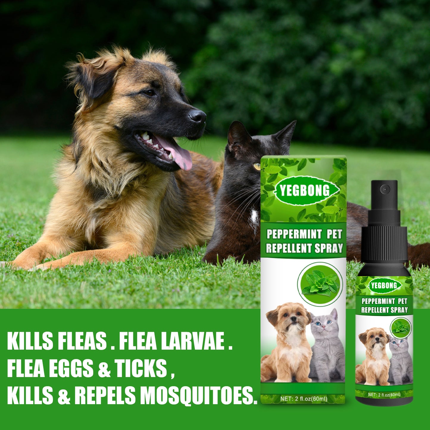 Peppermint Pet Repellent Spray – Mite and Fungus Control for Dogs and Cats