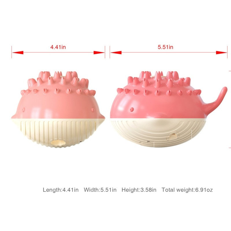 Floating Crocodile chien Water jouet avec Squeaker et Dental Cleaning Design
