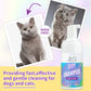 Cat Dry Shampoo Foam – No-Rinse Deodorizing Bubbles for Easy Cleaning