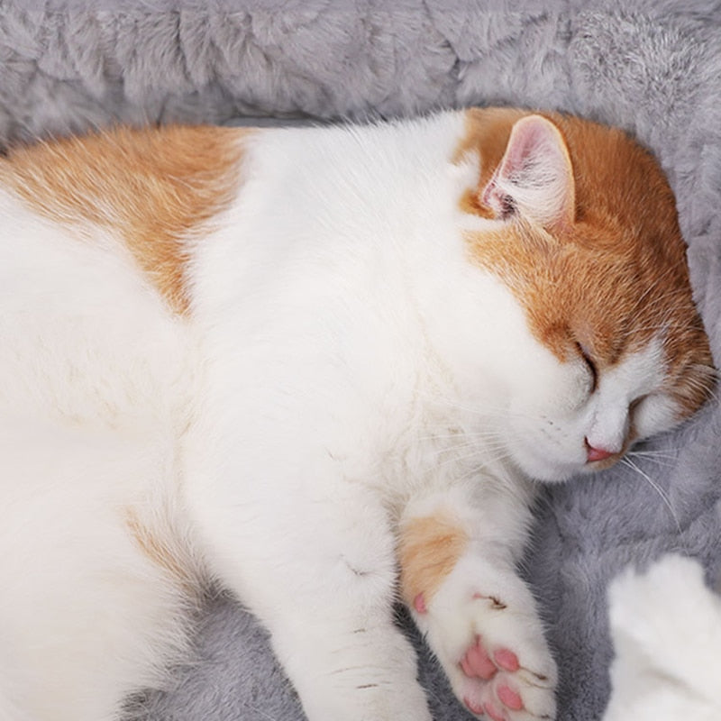 Cama de Pelúcia Macia para Animais de Estimação com Almofada para Gatos e Cães Pequenos, Ninho Quente de Inverno