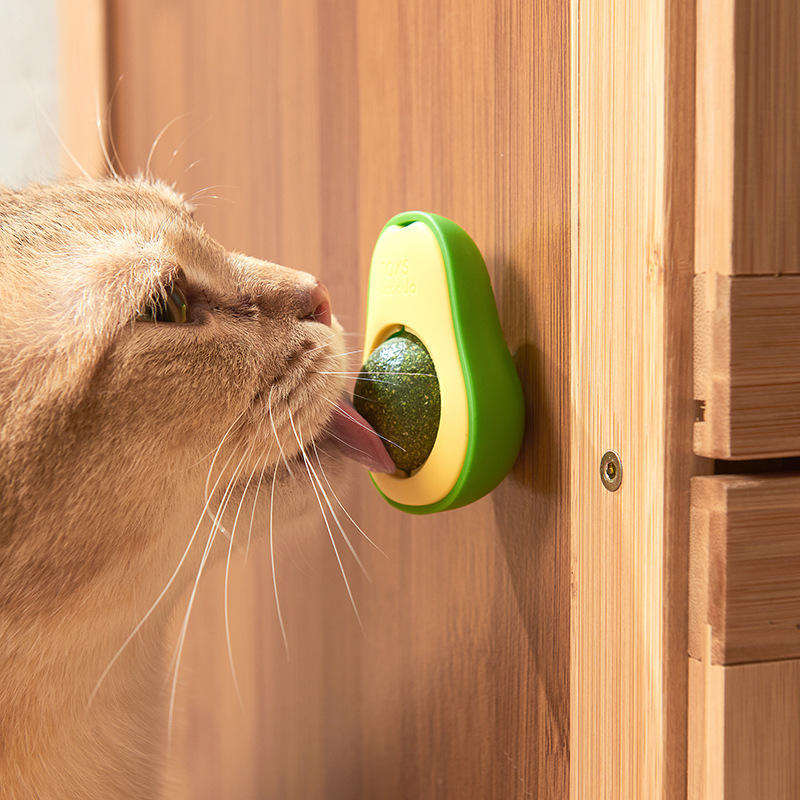 Rotating Catnip Ball jouet avec Avocado Design pour chats