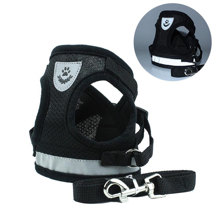 Conjunto de Coleira e Trela Refletor para Cães Pequenos e Médios