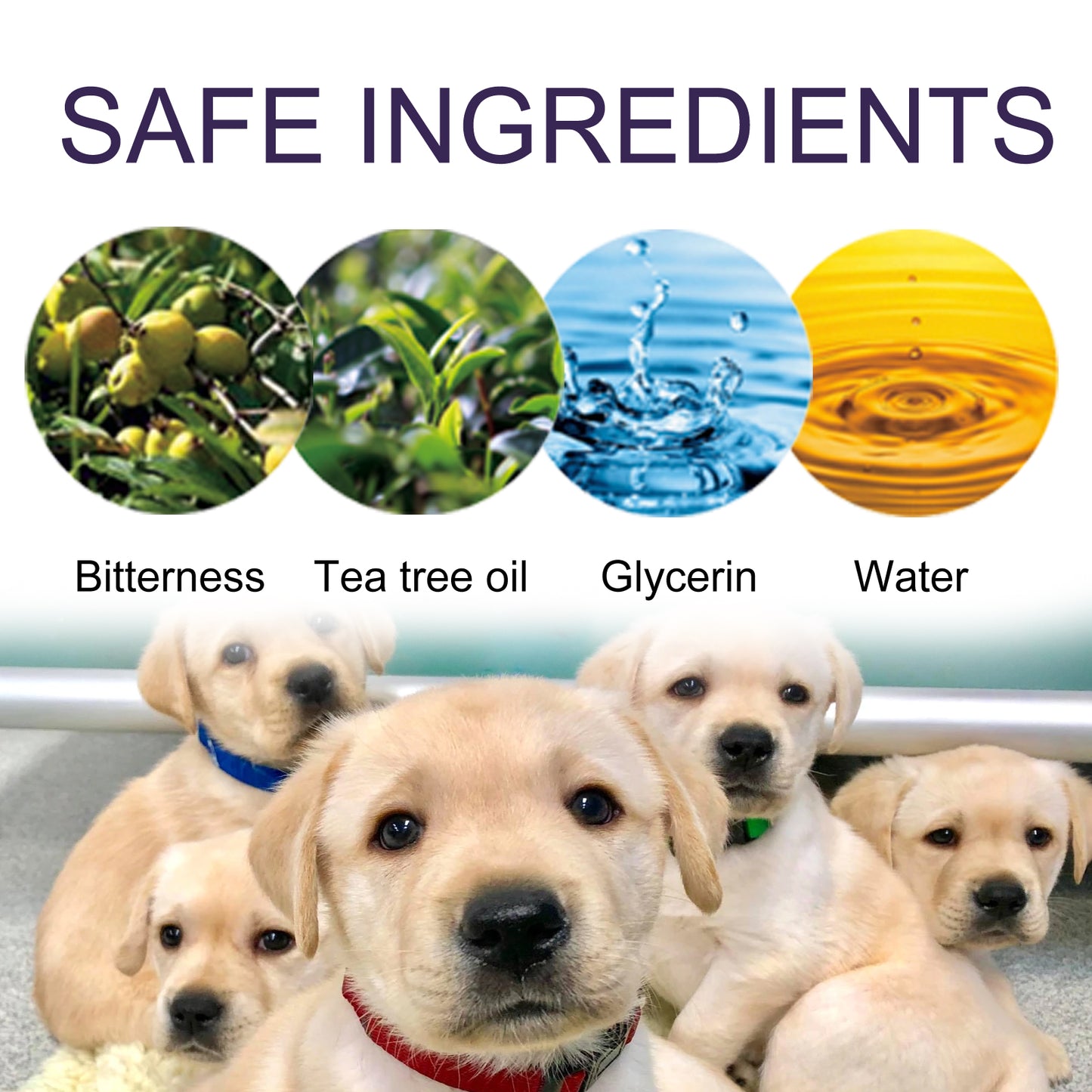 Anti-Chewing Pet Spray – Long-Lasting Indoor Repellent for Dogs & Cats