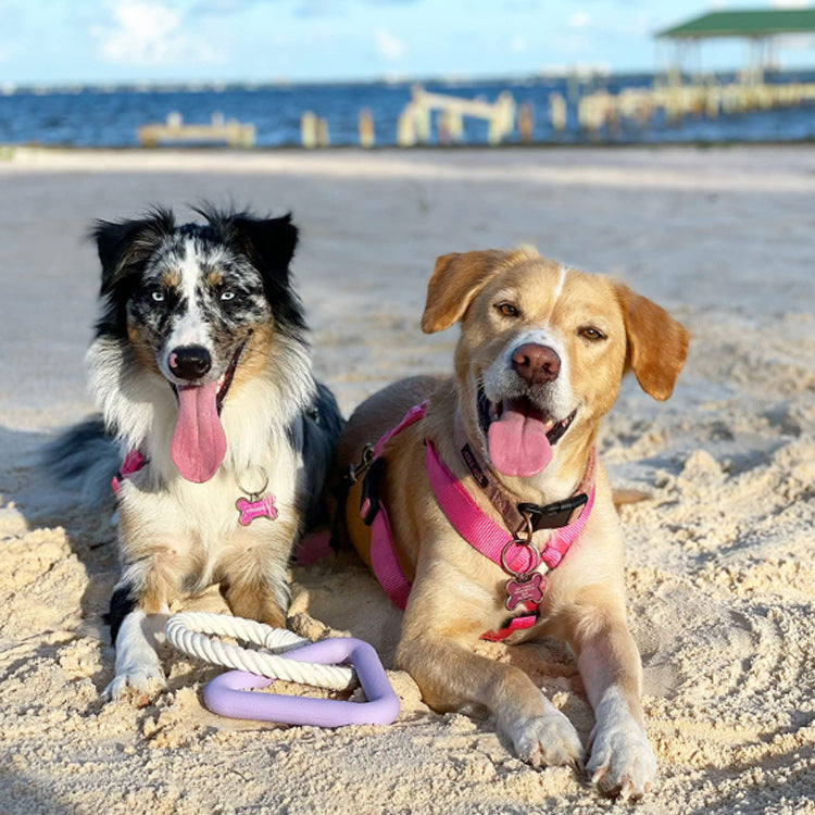 TPR Triangle Tug jouet pour chiens, interactif Chew et dressage jouet