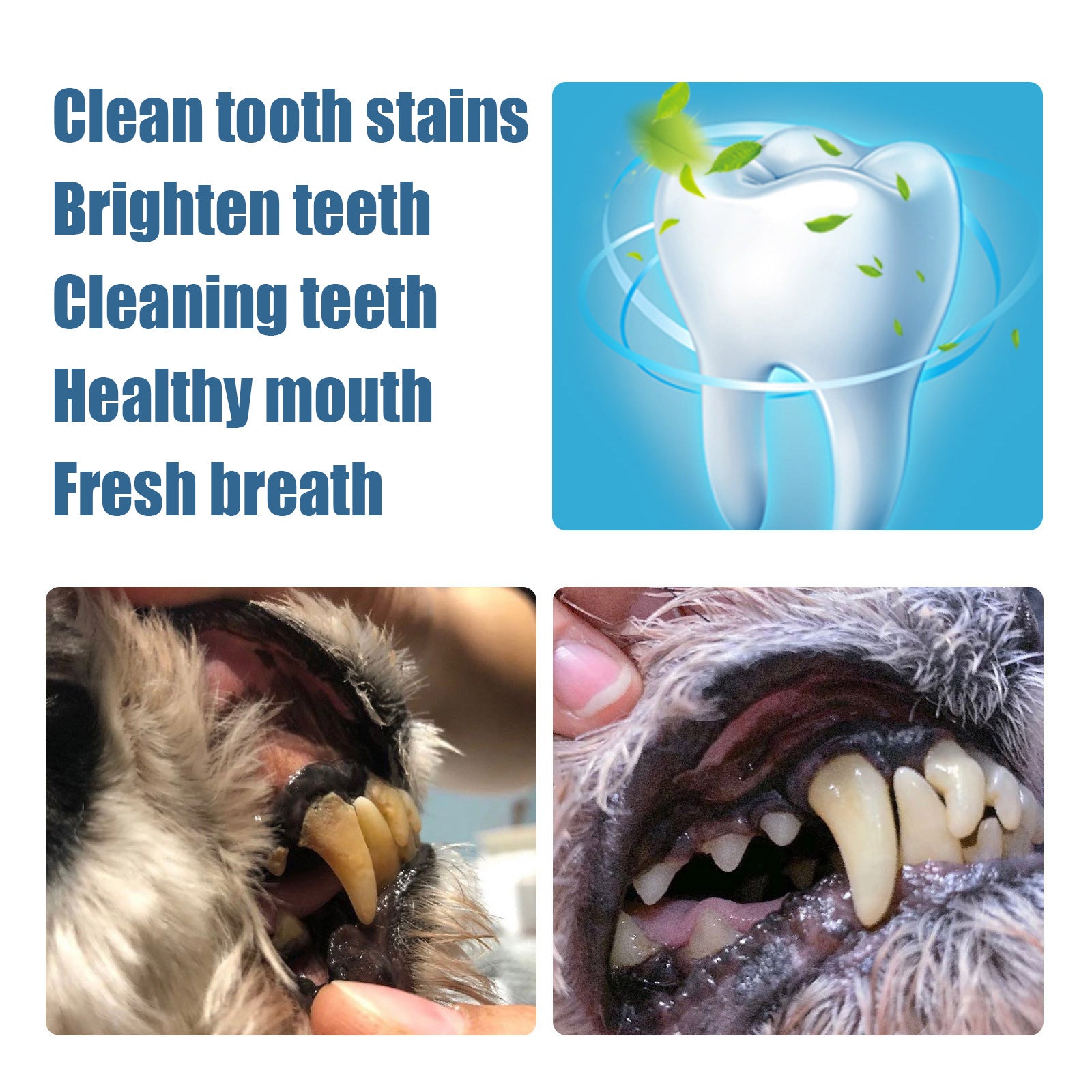 Caneta de Limpeza Dentária para Cães e Gatos, Ferramenta de Cuidados Dentários para Tártaro e Placa