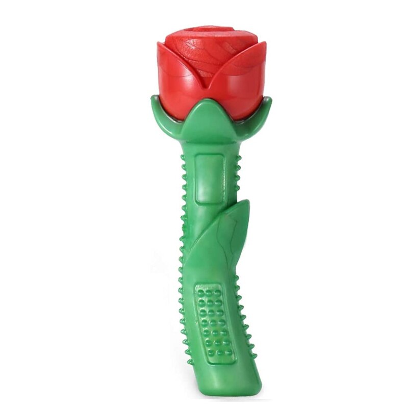 Chien Dental Chew jouet et Toothbrush Stick pour Teeth Cleaning