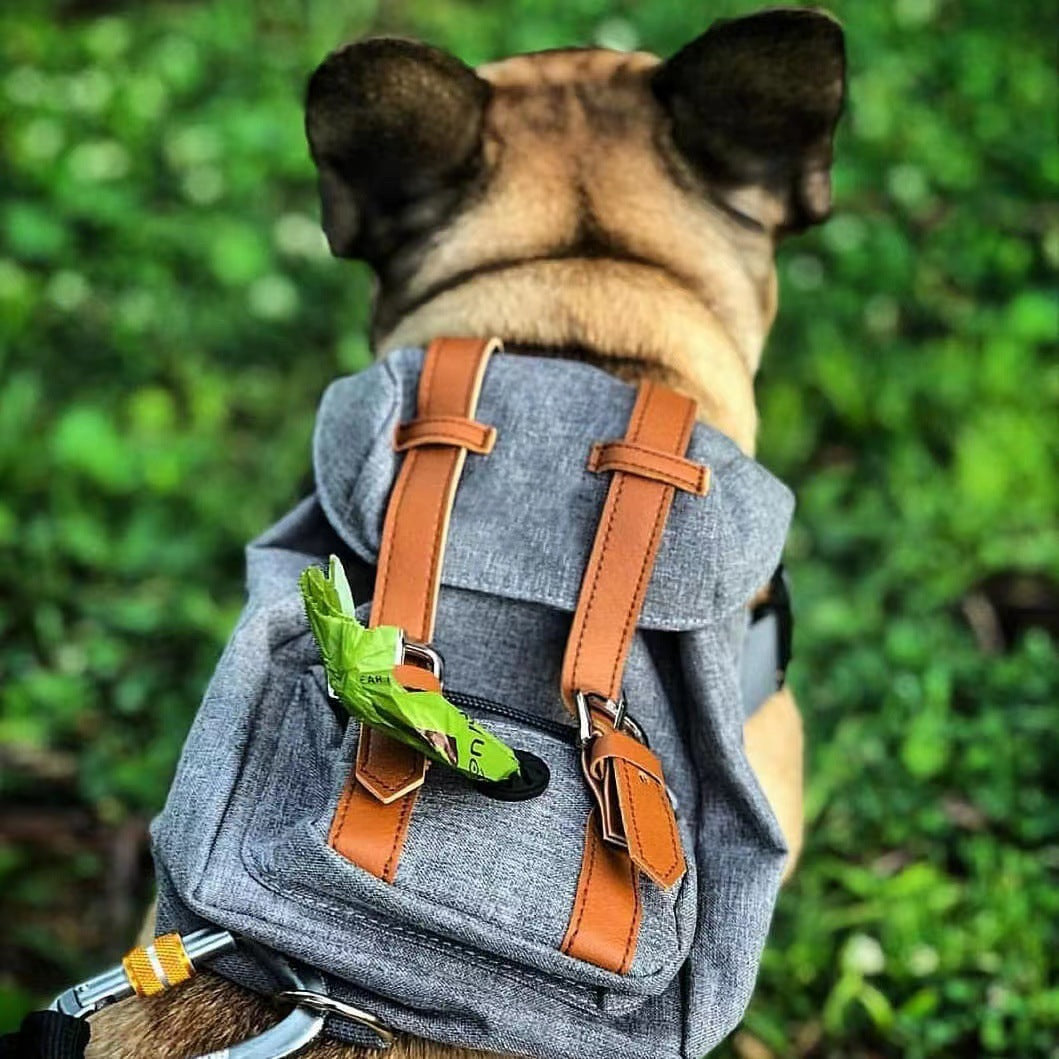 Mochila para Animais de Estimação com Alças Ajustáveis para Cães e Gatos Pequenos