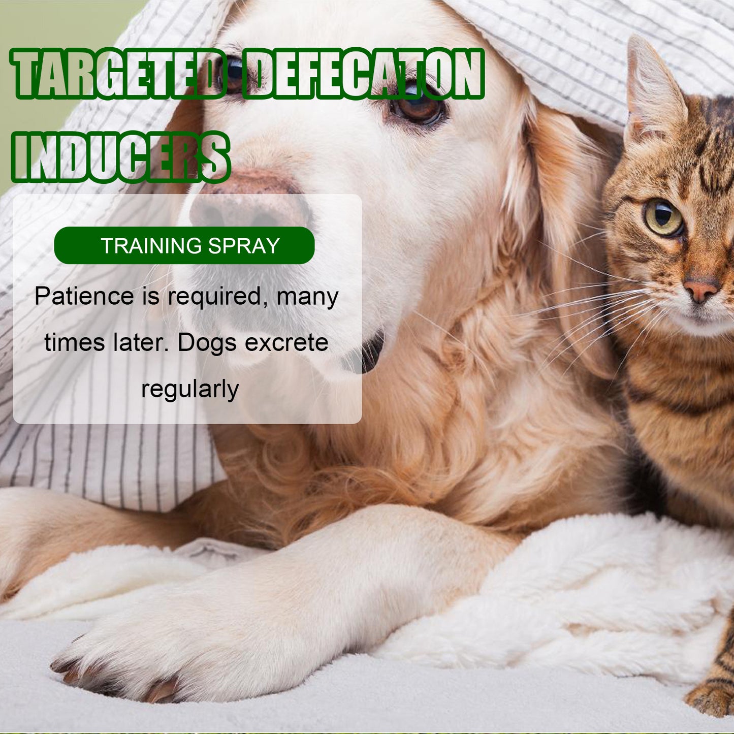Pet Toilet Training Aid – Location-Based Defecation Inducers for Dog and Cat Training