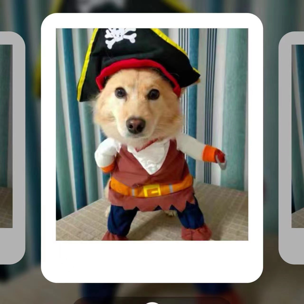 Fantasia de Pirata para Animais de Estimação (Cães e Gatos), Roupa de Cosplay Engraçada de Duas Patas