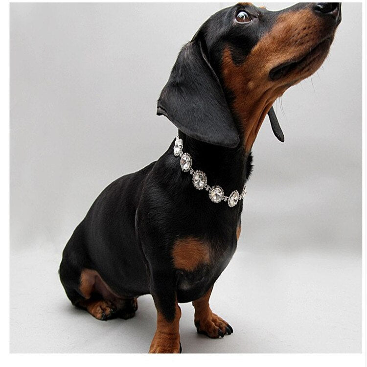 Colar de Pérolas para Gatos e Cães Pequenos, Estilo Joia Fofo