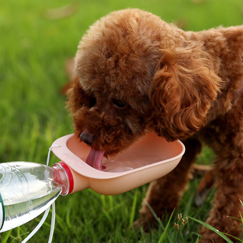 Garrafa de Água Portátil para Cão com Bebedouro para Viagem e Utilização Exterior
