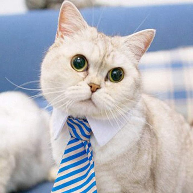 Gravata Borboleta Formal para Cães e Gatos, Acessório de Traje Elegante