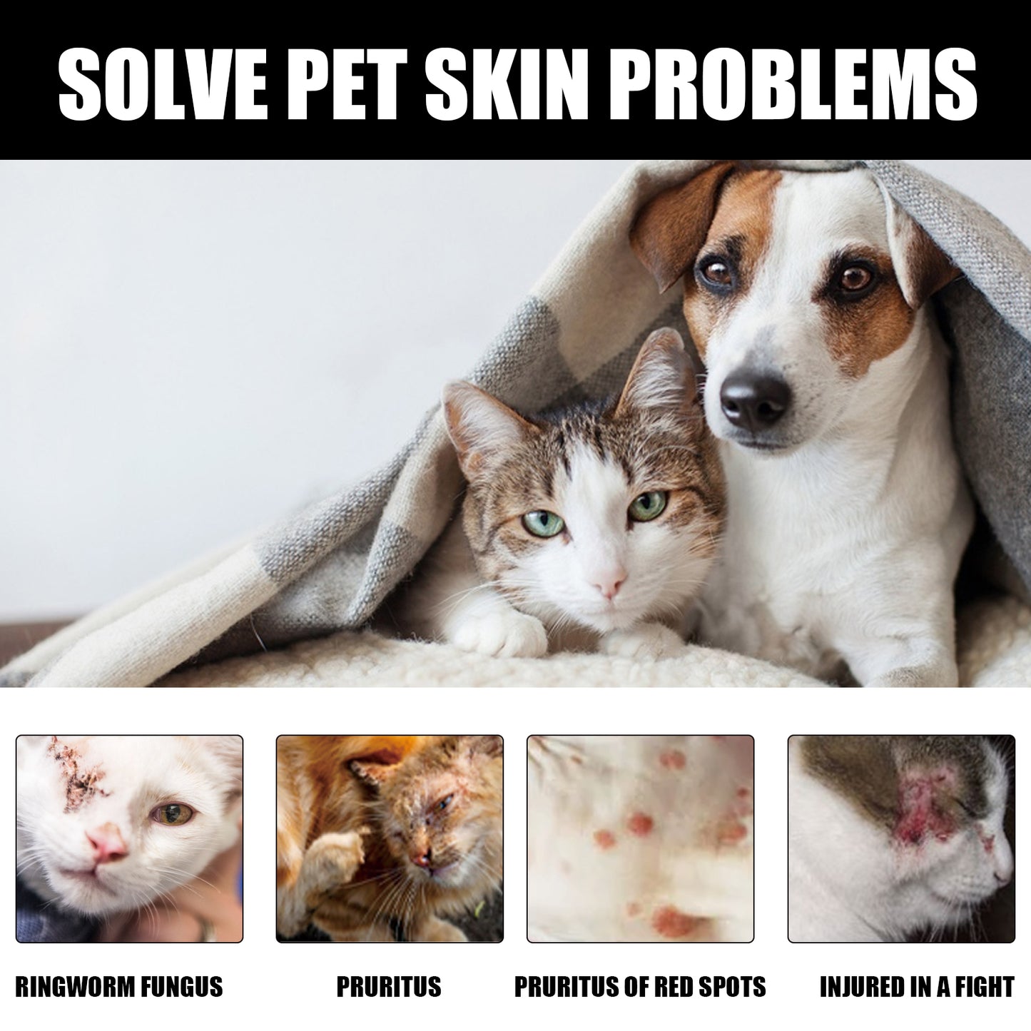 Cat Ringworm Spray – Anti-Mite & Anti-Itch Skin Treatment for Cats