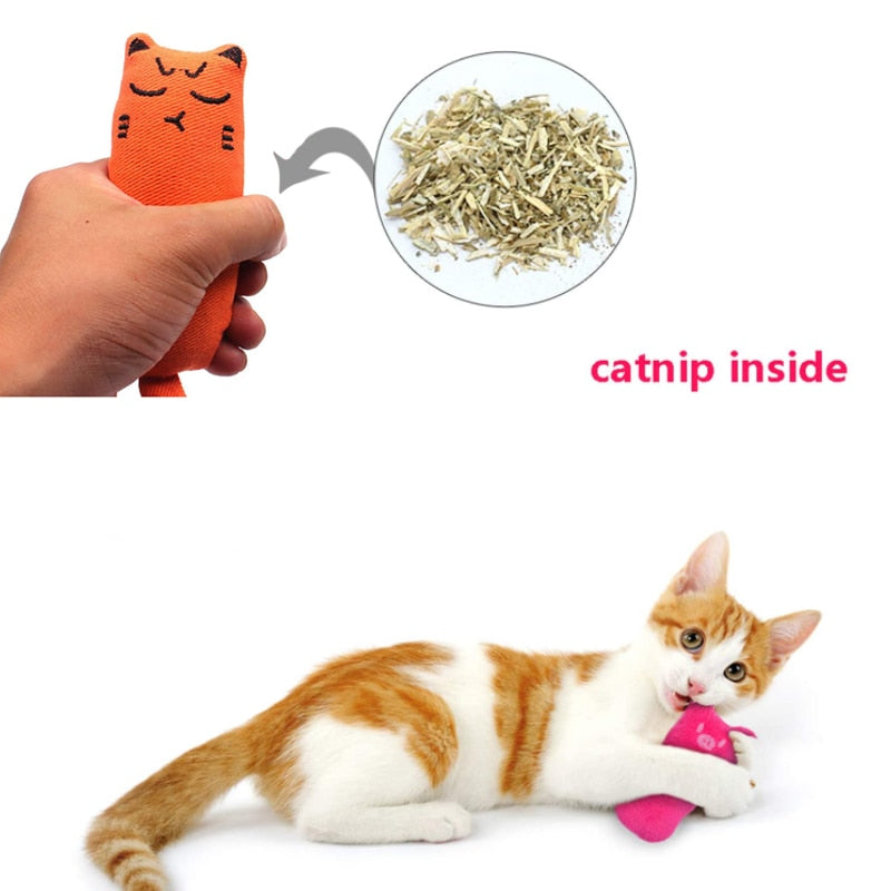 Catnip Rustle Toy – Plush Sound Cat Toy for Teeth Grinding & Play