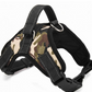 Nylon K9 Dog Harness & Collar Set – Durable Pet Gear for All Sizes