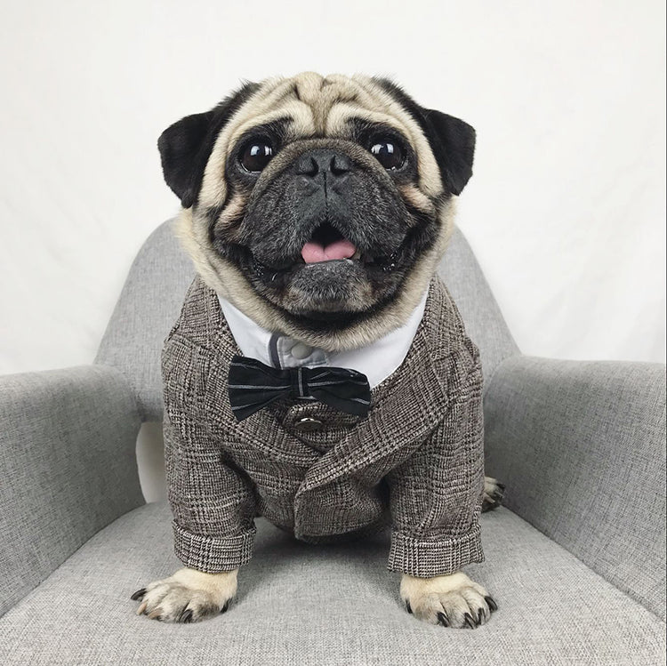 Fato/Smoking Formal para Cães e Gatos Pequenos, Roupa de Festa de Casamento