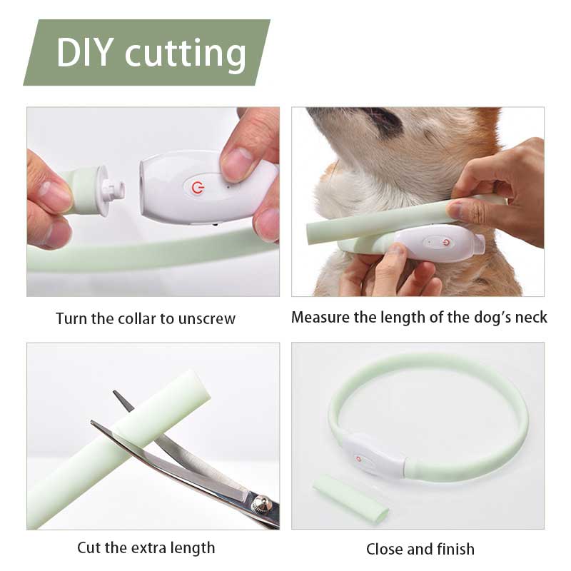 Collier lumineux de sécurité pour chien avec LED rechargeable par USB