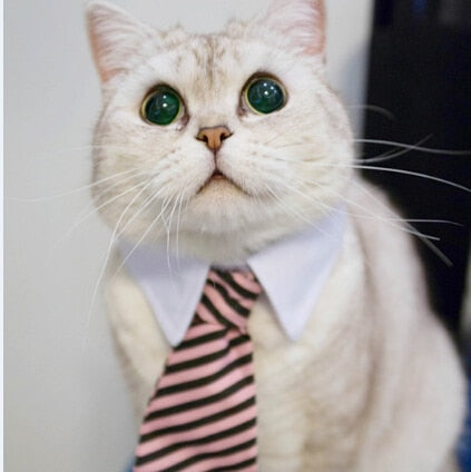 Gravata Borboleta Formal para Cães e Gatos, Acessório de Traje Elegante