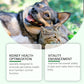 Pet Health Supplement – Gentle Formula to Support Overall Wellness