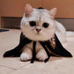 Halloween Pet Cloak – Cute & High-Quality Costume for Dogs & Cats