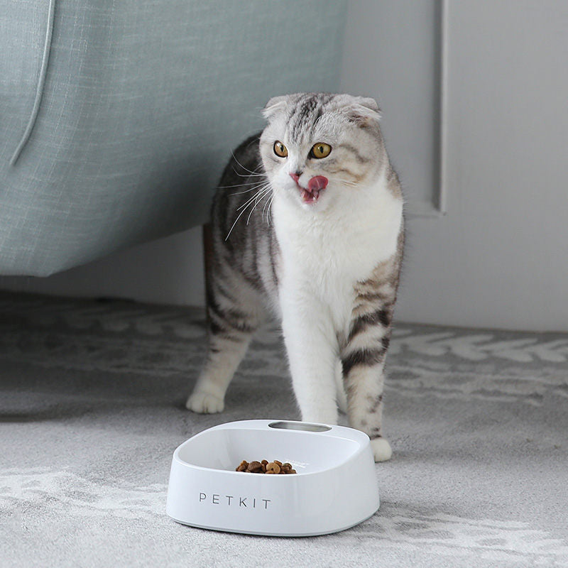 Taça PETKIT Digital Inteligente para Cães com Balança de Precisão