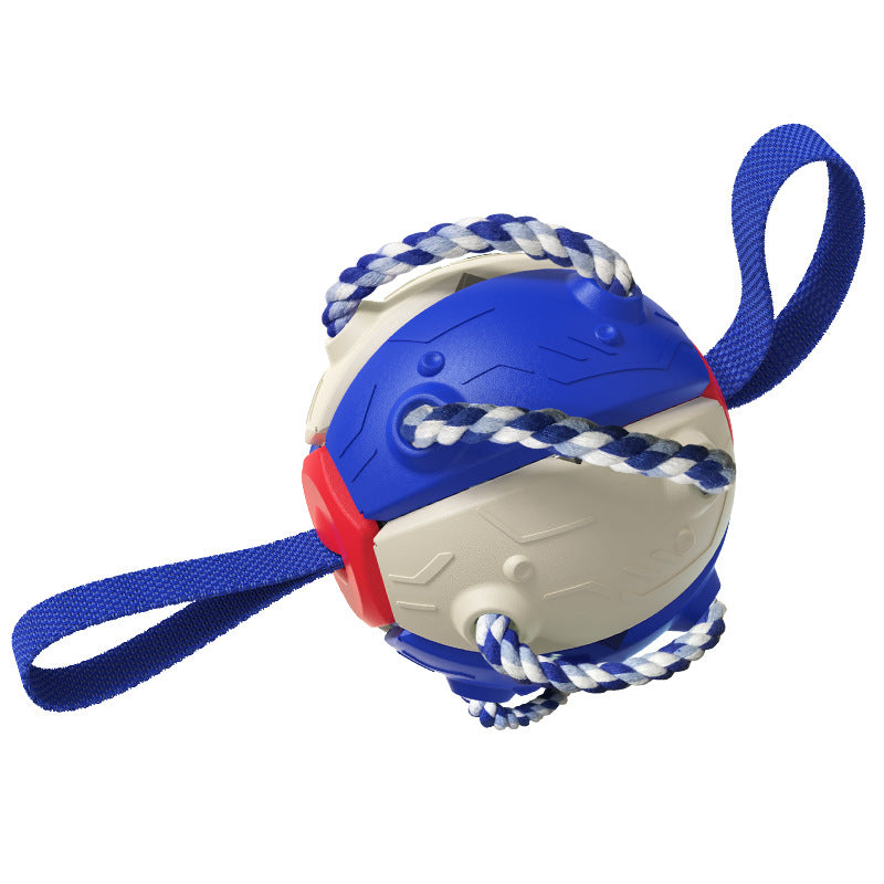 Interactif chien Flying Disc jouet pour d’extérieur Fetch et dressage