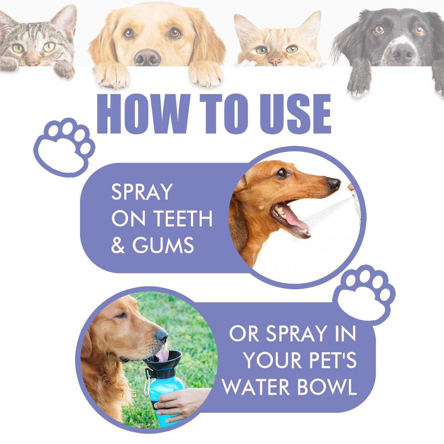 Pet Dental Spray – Tooth Cleaning & Fresh Breath for Cats & Dogs