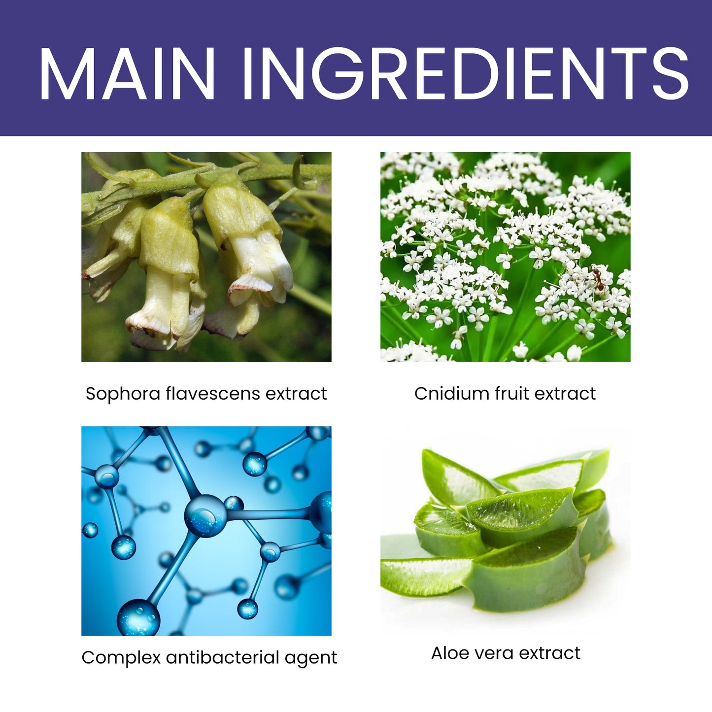 Pet Anti-Itch Spray – Soothing Skin & Fur Care for Mites and Bugs