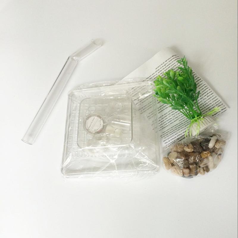 Aquário autolimpante My Fun Fish, conjunto completo para oferta, volume de 1 litro, conjunto adorável e fofo