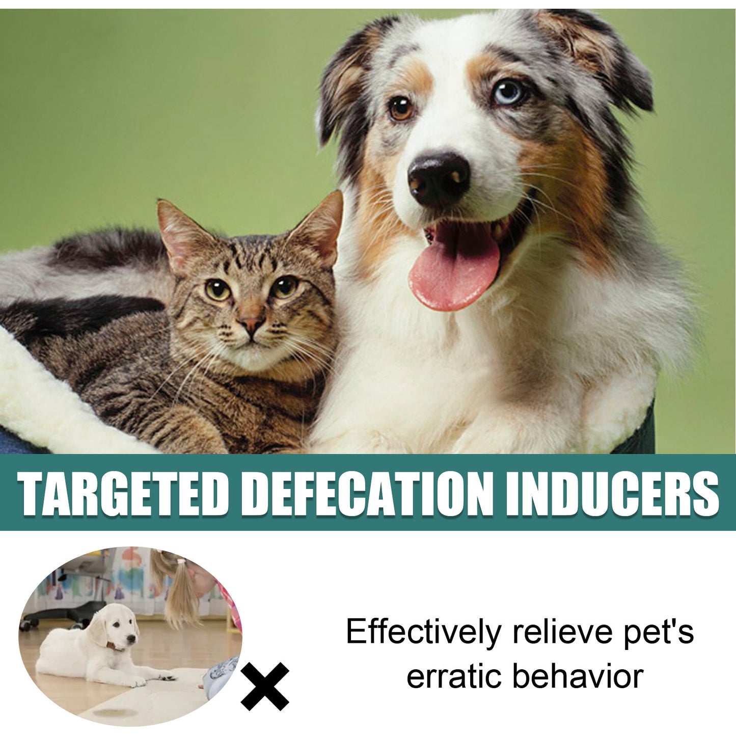 Pet Toilet Training Aid – Location-Based Defecation Inducers for Dog and Cat Training