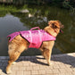 Shark & Mermaid Dog Life Jacket – Safe & Fun Pet Swimsuit for Summer
