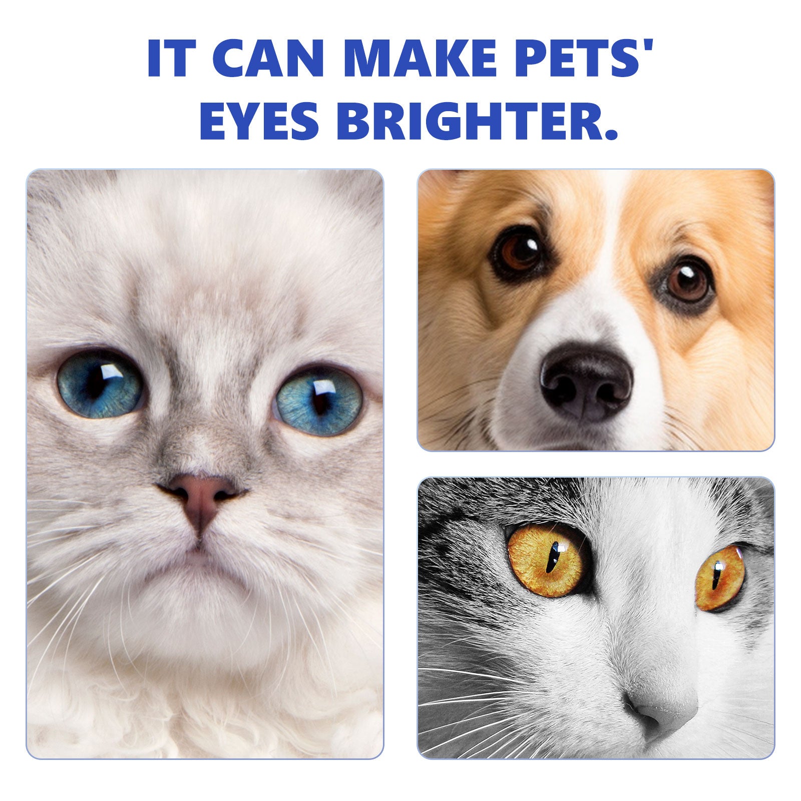 Gotas para Limpeza dos Olhos de Cães e Gatos, Colírio Suave para Cuidados com Manchas de Lágrimas
