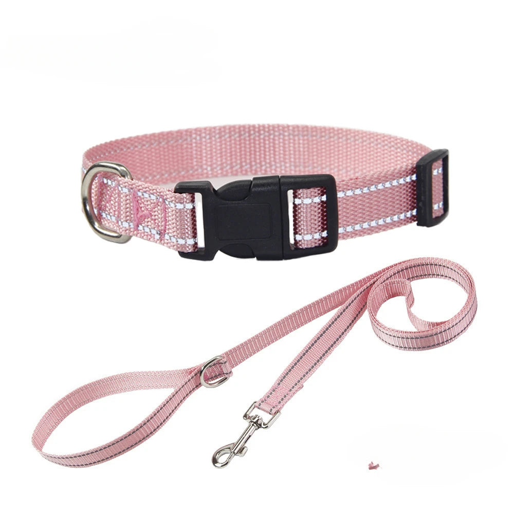 Conjunto de Trela e Coleira de Nylon para Cães Pequenos, Médios e Grandes