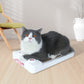 Cat Scratching Board – Multi-Layer Corrugated Paper Toy for Boredom Relief