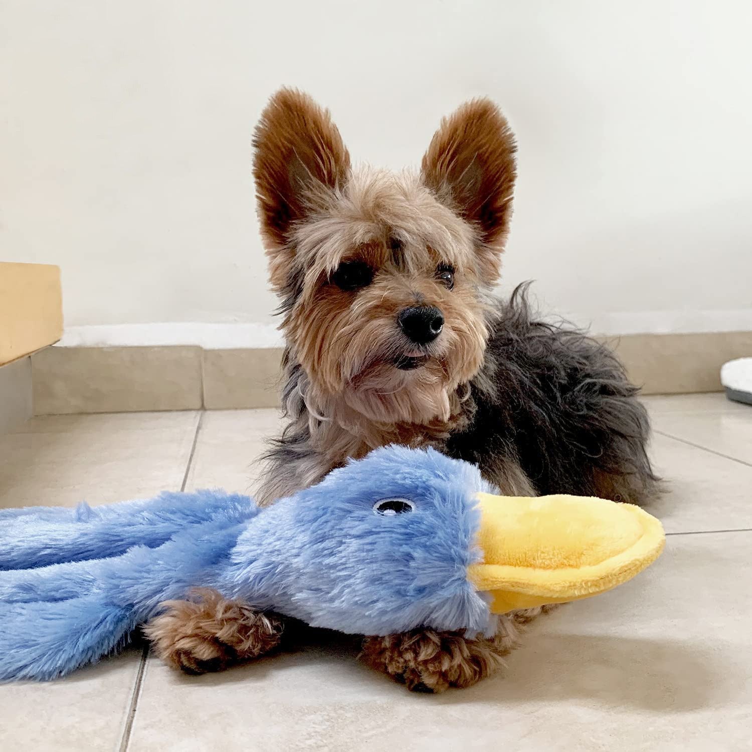 Brinquedo de Cão Pato de Peluche Sem Enchimento com Apito para Mastigar e Brincar